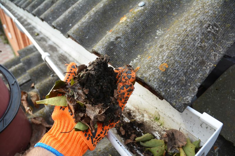 Gutter Leaf Clearing in Frederick, MD