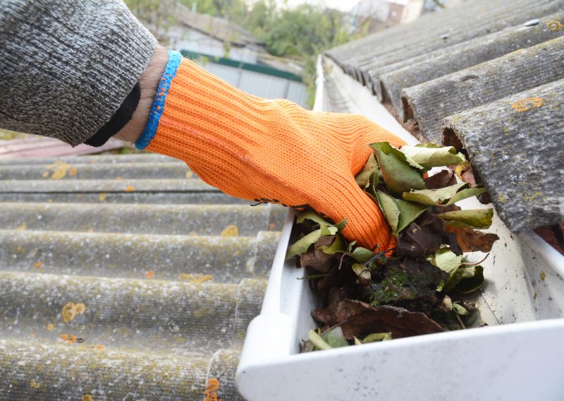 Roof Gutter Cleaning in Monmouth County, NJ